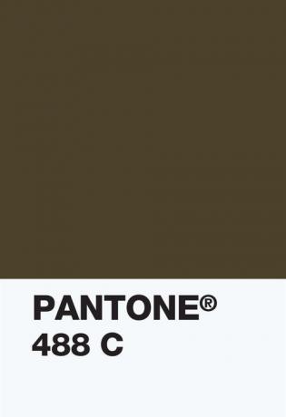 Pantone Color Institue - campione colore 448c - colore opaco