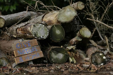 Casa della fauna selvatica nel giardino di autunno