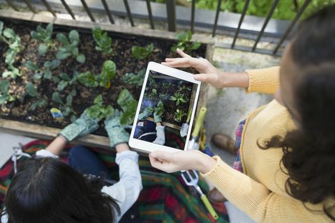 Ragazza sopraelevata di vista con la compressa digitale che fotografa il giardinaggio della madre