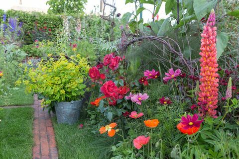 Il giardino di taglio del colore Anneka Rice. Progettato da: Sarah Raven. RHS Chelsea Flower Show 2017. BBC Feel Good Garden