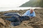 Sir David Attenborough sostiene l'iniziativa della BBC Plastic Watch dopo il "sorprendente" impatto di Blue Planet II