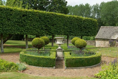 Brook House - Sherborne Estate - Autumnwatch - siepe da giardino - Butler Sherborn