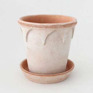 Bergs Elizabeth Pentola in terracotta con piattino