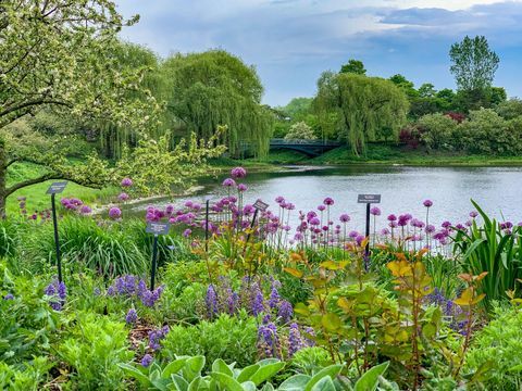 giardino botanico di chicago