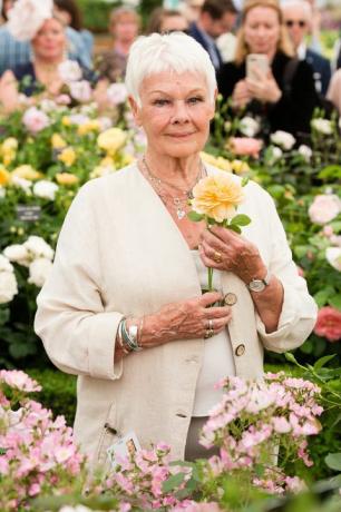 Judi Dench partecipa alla giornata stampa RHS Chelsea Flower Show 2017