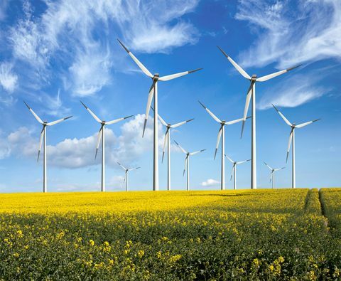 Generatori eolici ecologici - energia rinnovabile - in campi di fiori gialli