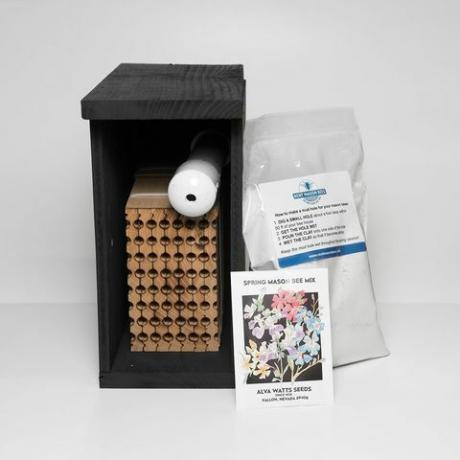 Mason Bee Kit