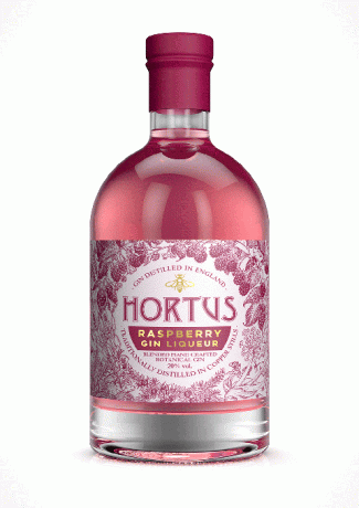 Raspberry Lidl Gin