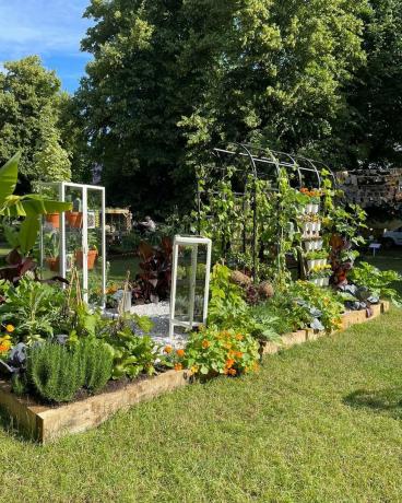 she grows veg commestible alzarsi e coltivare l'orto hampton court palace garden festival 2021