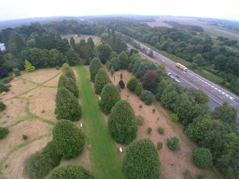 RHS Garden Wisley alberi