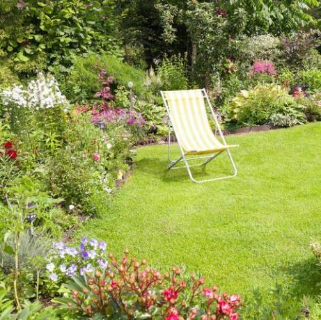 lavori di giardinaggio per prato e giardino fiorito di giugno