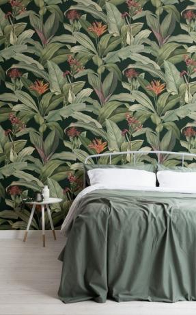 Collezione Vintage Botanicals di MuralsWallpaper, utilizzando dettagliati dipinti vintage di Pierre-Joseph Redouté