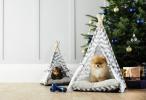 Acquisti speciali Aldi: Aldi In vendita £ 39,99 Divano letto per animali domestici per Natale
