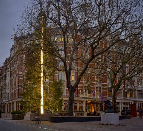 The Connaught Christmas Tree 2016 di Antony Gormley è stato presentato oggi a Mayfair