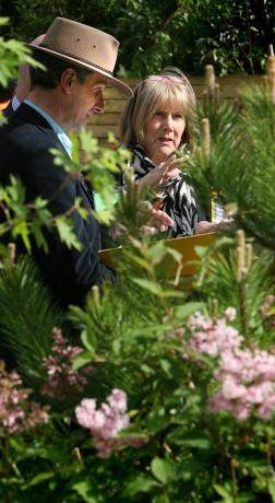 I giudici discutono degli Show Gardens, Chelsea Flower Show 2008