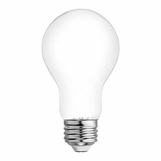 Lampadina LED bianca calda dimmerabile