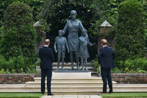 Il principe William e il principe Harry davanti alla statua della principessa Diana﻿