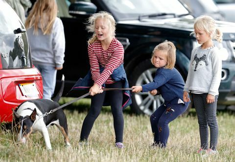 le prove a cavallo di Whatley Manor