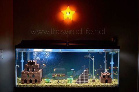 Acquario Mario