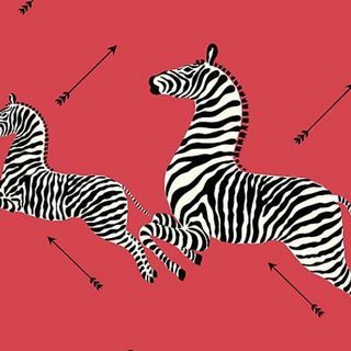 Zebre Scalamandre - Wallpaper Masai Red Wallpaper