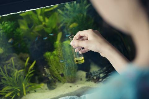 ragazza che utilizza un kit di test chimici per misurare la qualità dell'acqua in un acquario domestico