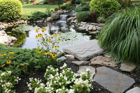 Stagno e cascata del cortile in un giardino residenziale