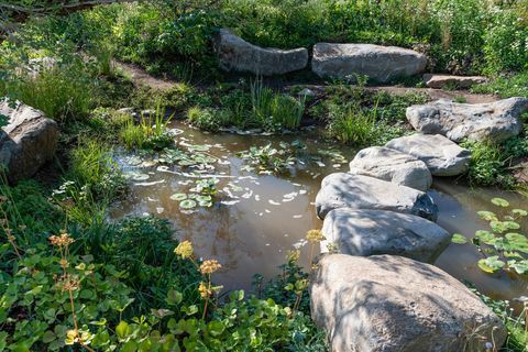 Giardino del 30 ° anniversario di Countryfile. Progettato da: Ann-Marie Powell. Giardino delle caratteristiche. RHS Hampton Court Palace Flower Show 2018