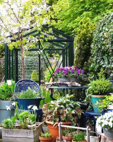 orto urbano piccolo mini giardino verticale inglese con serra bello e verde fresco inizio della primavera coltivando le tue verdure