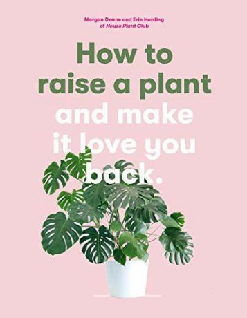 Come allevare una pianta: e farti tornare indietro
