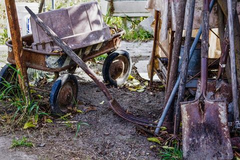 Ruggine di attrezzi e attrezzatura da giardino