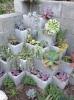 Tendenze di giardinaggio - Modi per migliorare il tuo giardino
