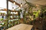 Airbnb e Pantone collaborano alla casa 'Outside In' di Greenery a Londra