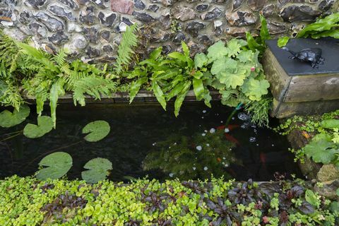 Cottage dal tetto di paglia del XVIII secolo in vendita nel dorset