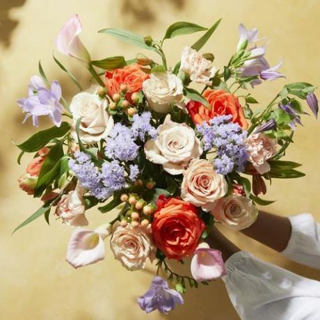 fioritura e fiori selvatici di San Valentino