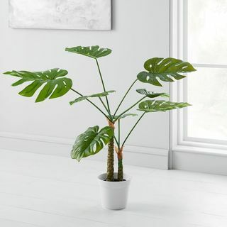 Pianta di Monstera in vaso finto