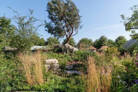 Giardino del 30 ° anniversario di Countryfile. Progettato da: Ann-Marie Powell. Giardino delle caratteristiche. RHS Hampton Court Palace Flower Show 2018