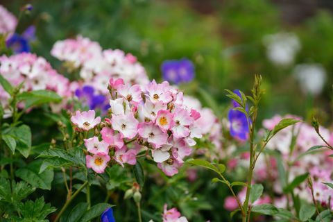 nuovo design per il giardino sommerso del kensington palace