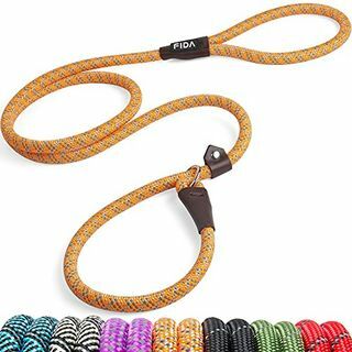 Guinzaglio per cani resistente da 1,8 m x 30,5 cm