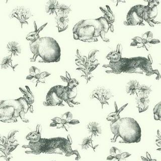 Sfondo di Ispirato da Color Bunny Toile At4263