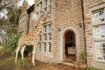 Le giraffe si uniranno a te per la colazione attraverso una finestra in questo incantevole hotel padronale
