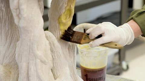 immagine media del primo piano di una mano guantata che applica una macchia acida a una scultura stratificata con fibrocemento
