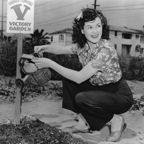 Barbara Hale Waters Garden, 1945 Victory Gardens ww2