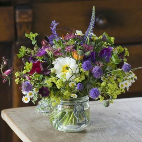 fiori comuni della fattoria, Somerset