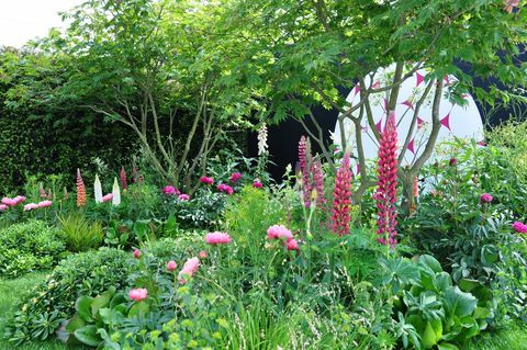 Rigoglioso giardino