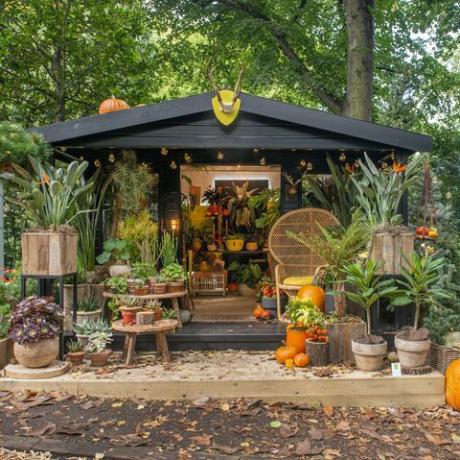 n1 studio di piante d'appartamento al Chelsea Flower Show 2021