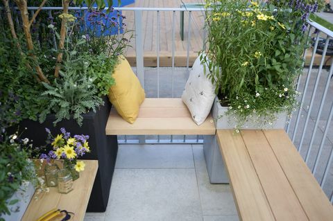 chelsea flower show 2021 il balcone di morfologia di nicola hale