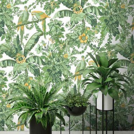 Sfondo di Woodchip e Magnolia Parrot Talk Lush Green