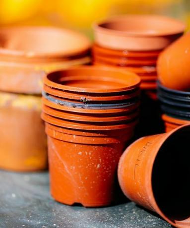 gruppo di vasi per piante in un giardino