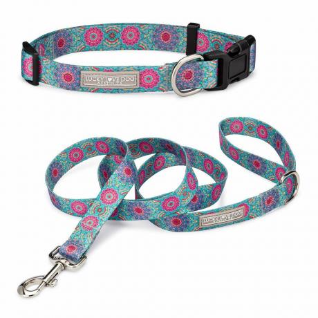 Set collare e guinzaglio per cani abbinati Boho Chic