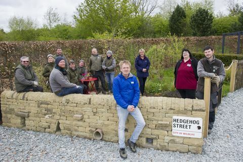 Il primo giardino permanente di Hedgehog Street nel Regno Unito è stato presentato a RHS Harlow Carr, nello Yorkshire del Nord